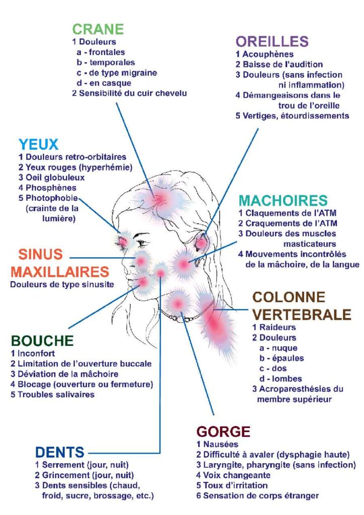 Mâchoire, dents et ATM en chiropraxie - Chiropractie Toulouse
